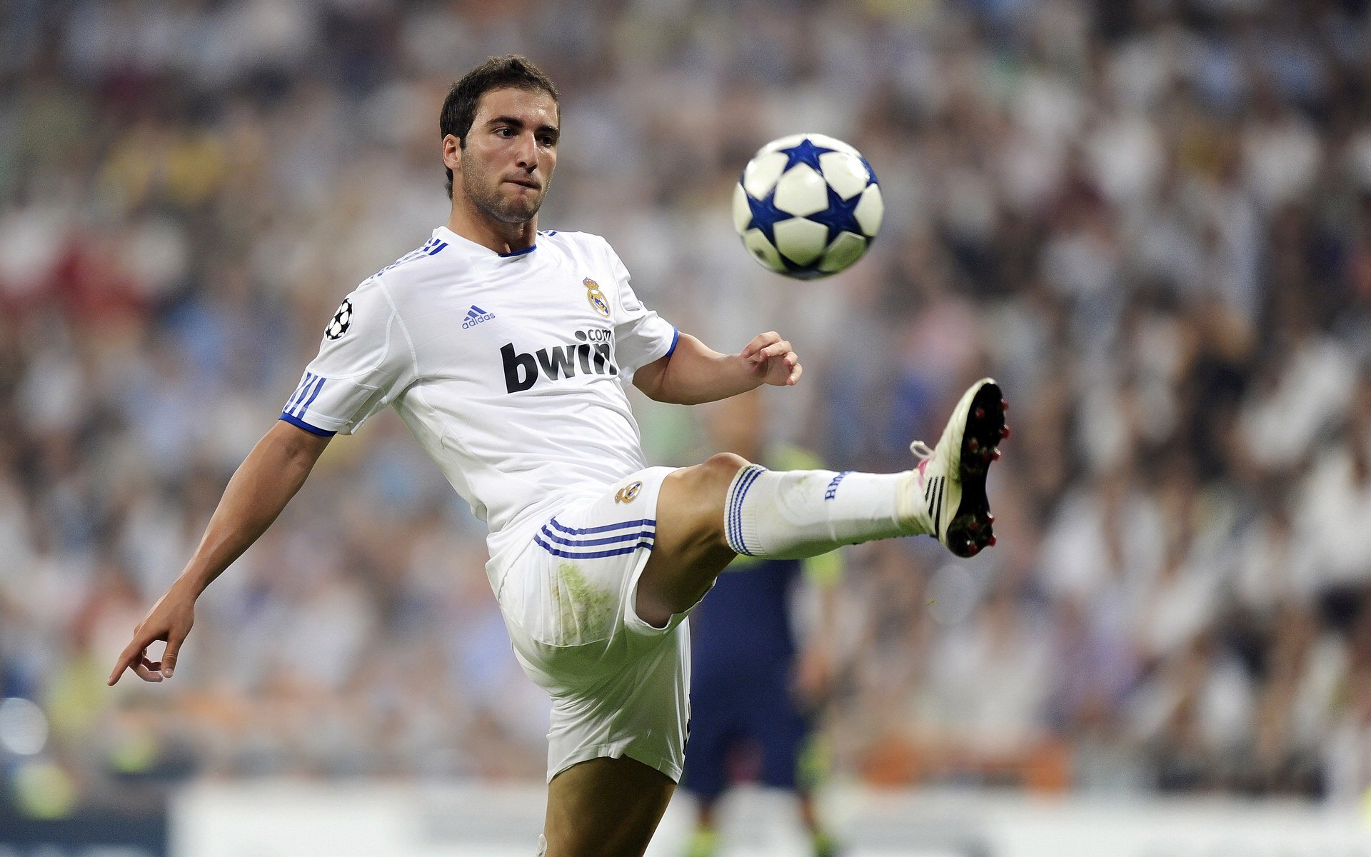 中国足球青训系统加强与国际机构对接,国足青训体系